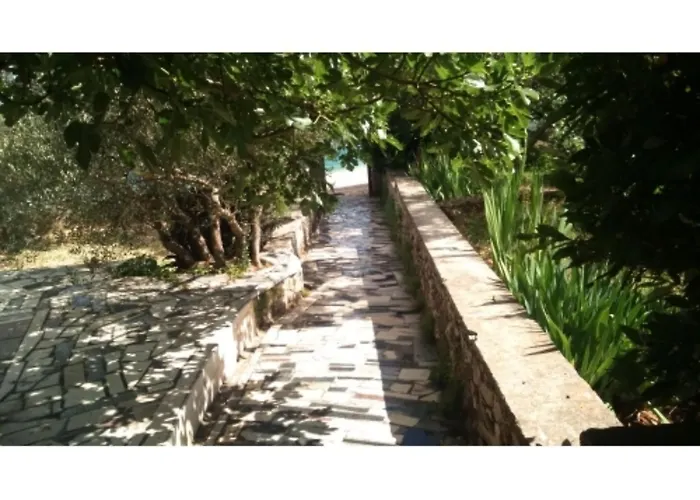 Jauca * טרוגיר