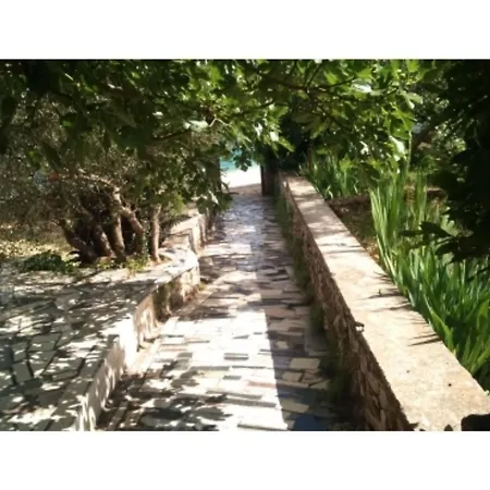Jauca * Trogir